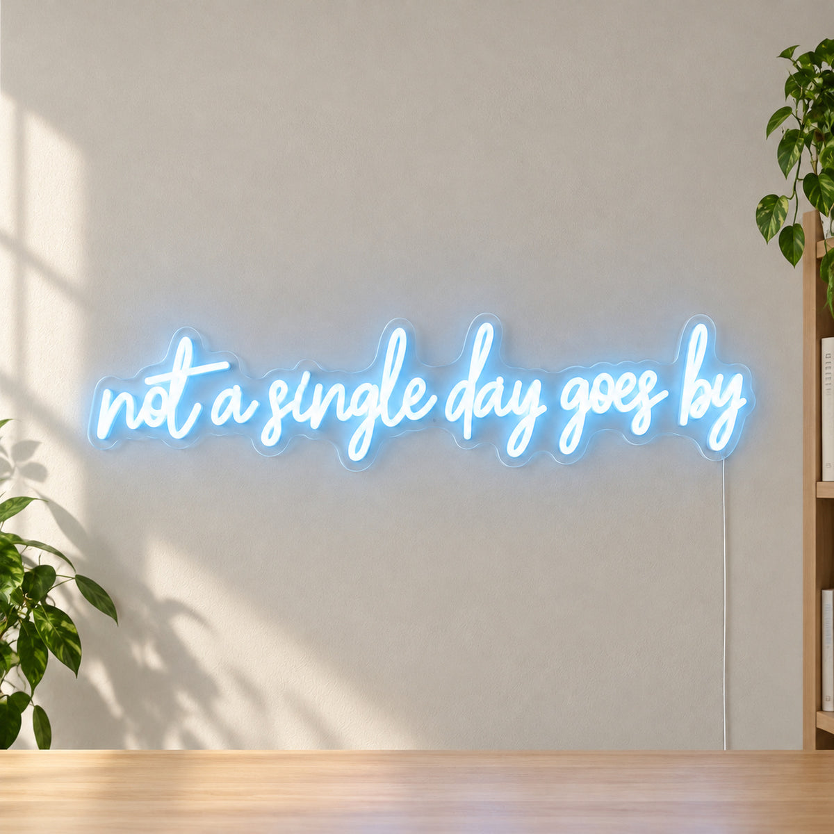 Not a Single Day Goes By LED Neon Sign Dimmable Wall Light - Shineneon