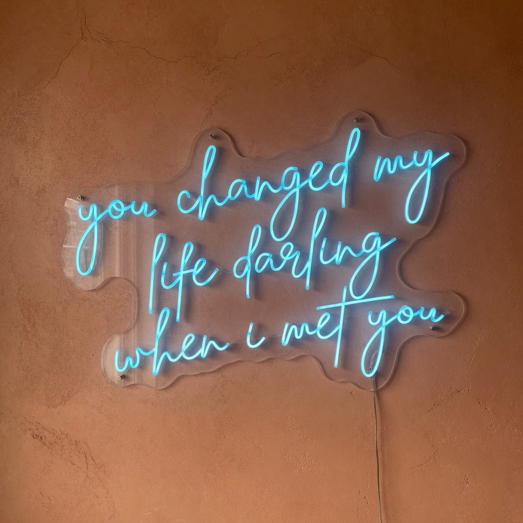 You Changed My Life Darling When I Met You LED Neon Sign - Shineneon