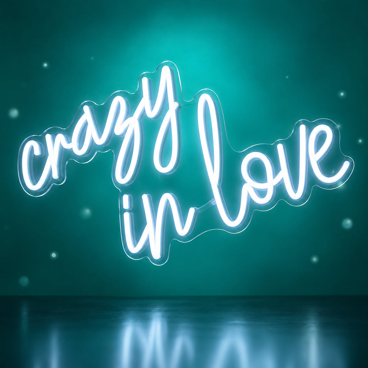 Crazy in Love LED Neon Sign Lowercase Flow Script - Facebook Ad Image