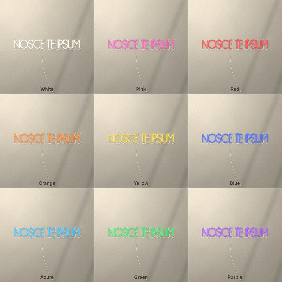 NOSCE TE IPSUM Know Thyself Neon Sign - Shineneon