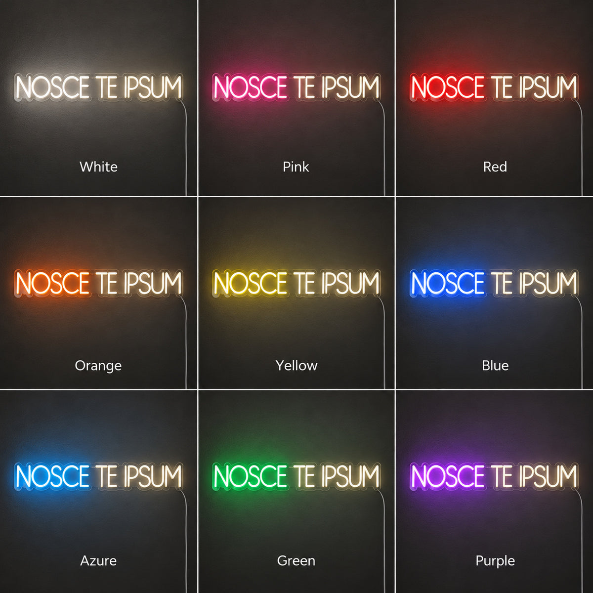 Nosce Te Ipsum Know Thyself Neon Sign Wall Neon Signs - Shineneon