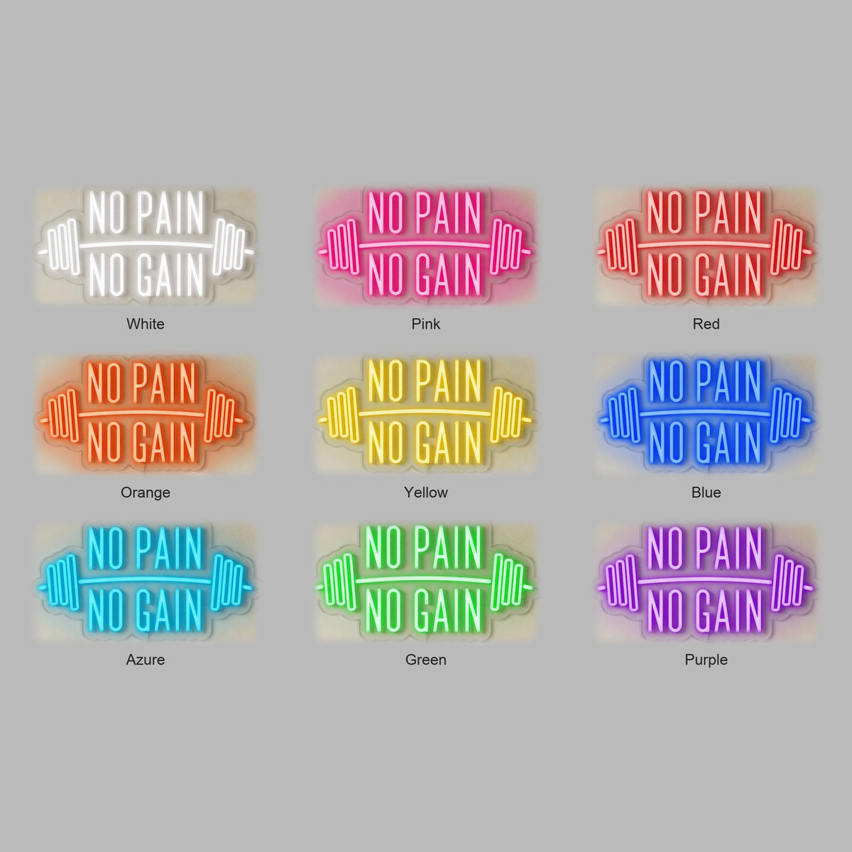 No Pain No Gain LED Neon Sign for Storefront - Shineneon