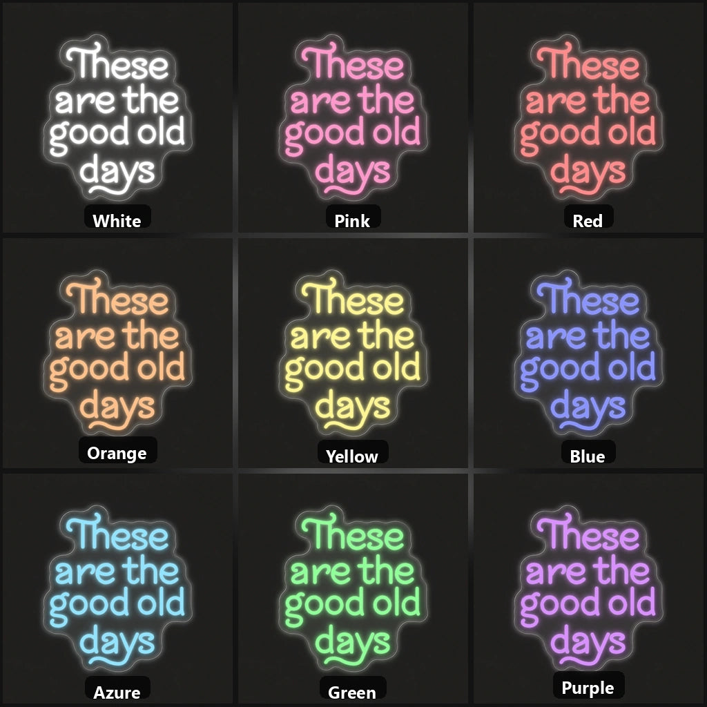 These Are the Good Old Days Block Letters Vintage LED Neon Sign Home Neon Signs - Shineneon