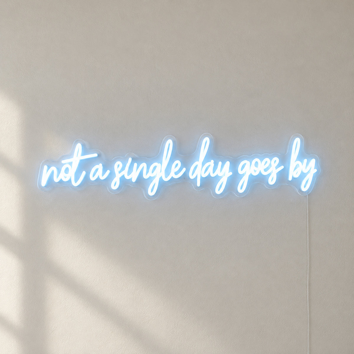 Not a Single Day Goes By LED Neon Sign Dimmable Wall Light - Shineneon