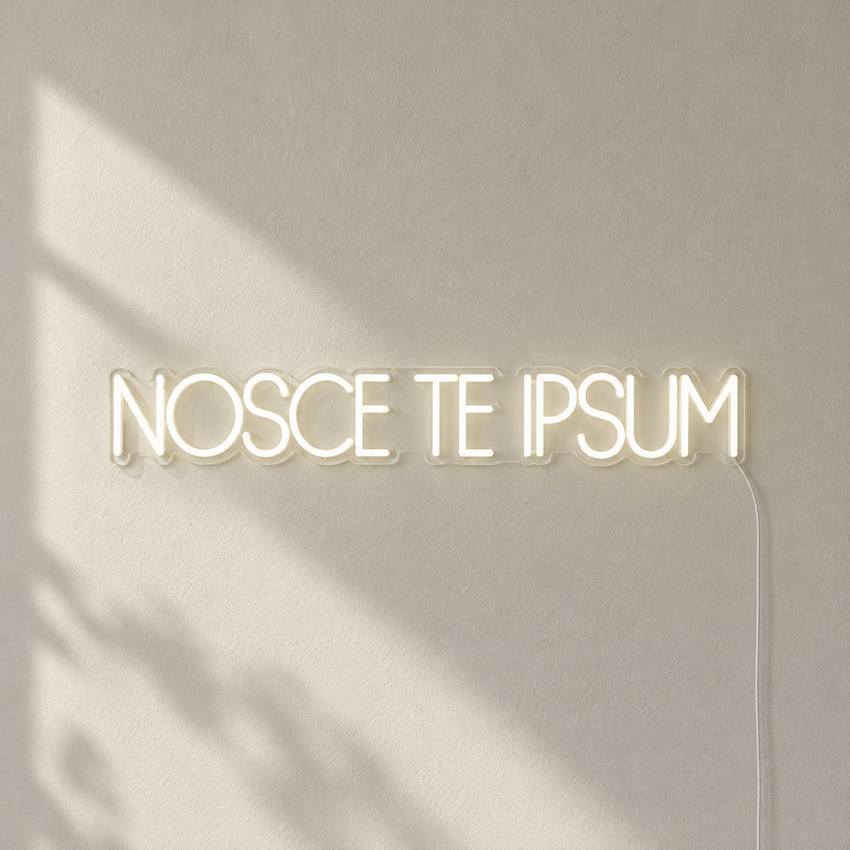 Nosce Te Ipsum Know Thyself Neon Sign Wall Neon Signs - Shineneon