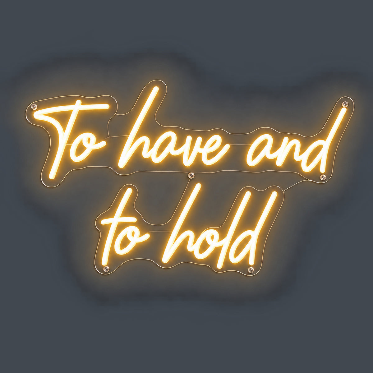 To Have And To Hold LED Neon Sign Wall Neon Signs - Shineneon