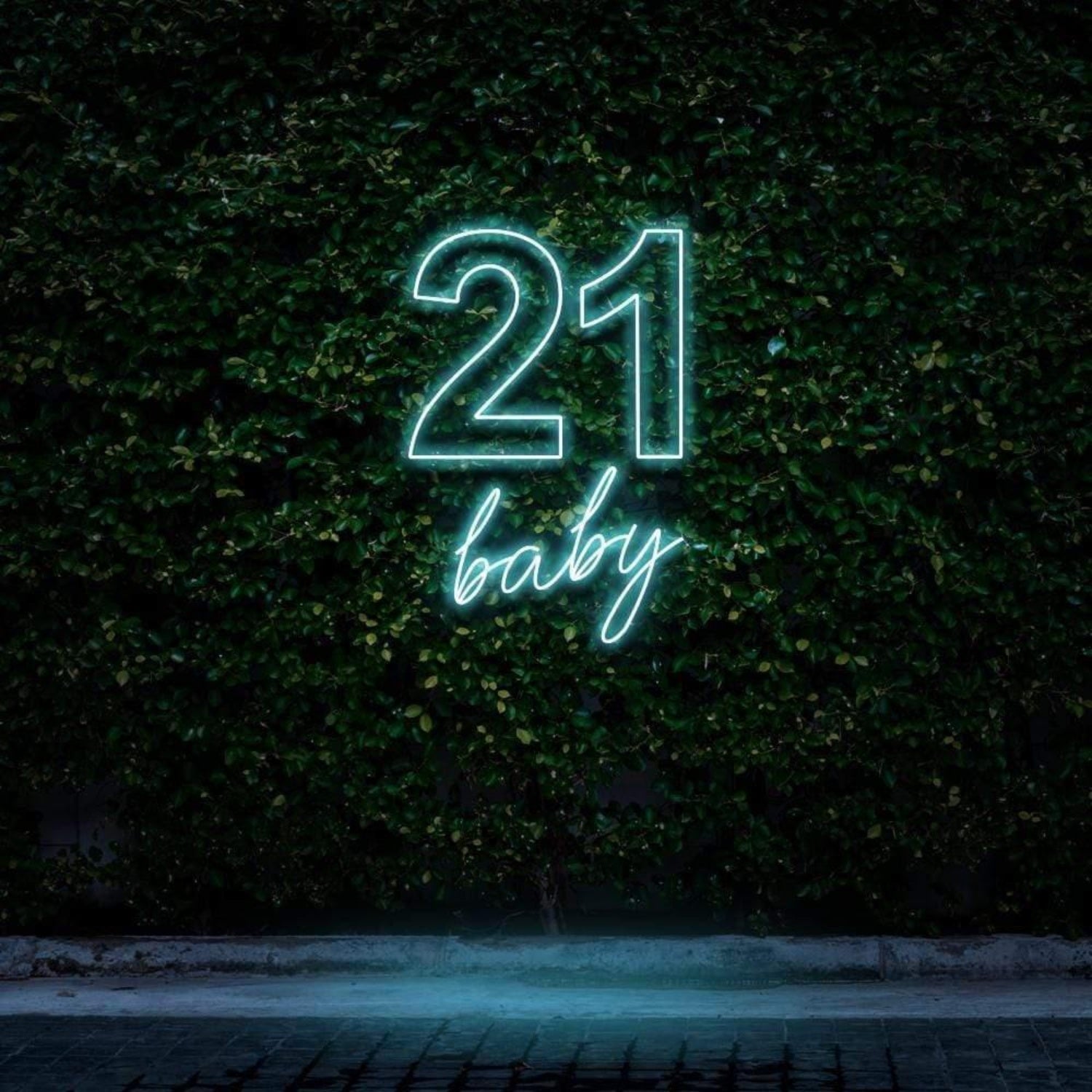 21 Baby Mint Green Led Neon Sign For Outdoor Birthday Celebration | Shineneon