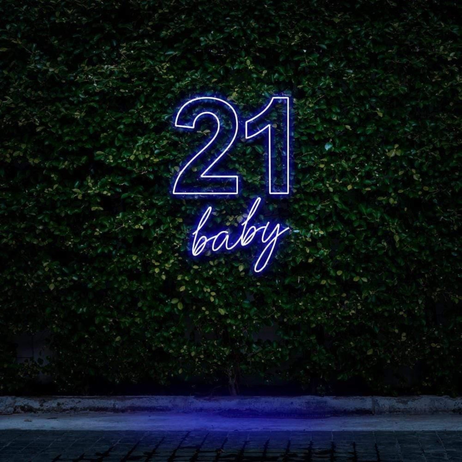 21 Baby Mint Green Led Neon Sign For Outdoor Birthday Celebration | Shineneon