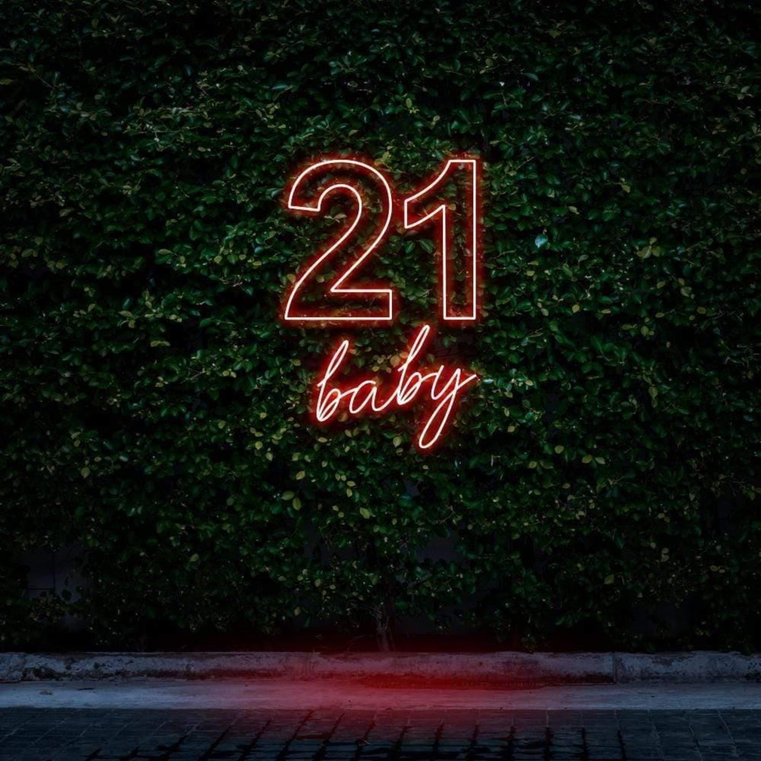 21 Baby Mint Green Led Neon Sign For Outdoor Birthday Celebration | Shineneon