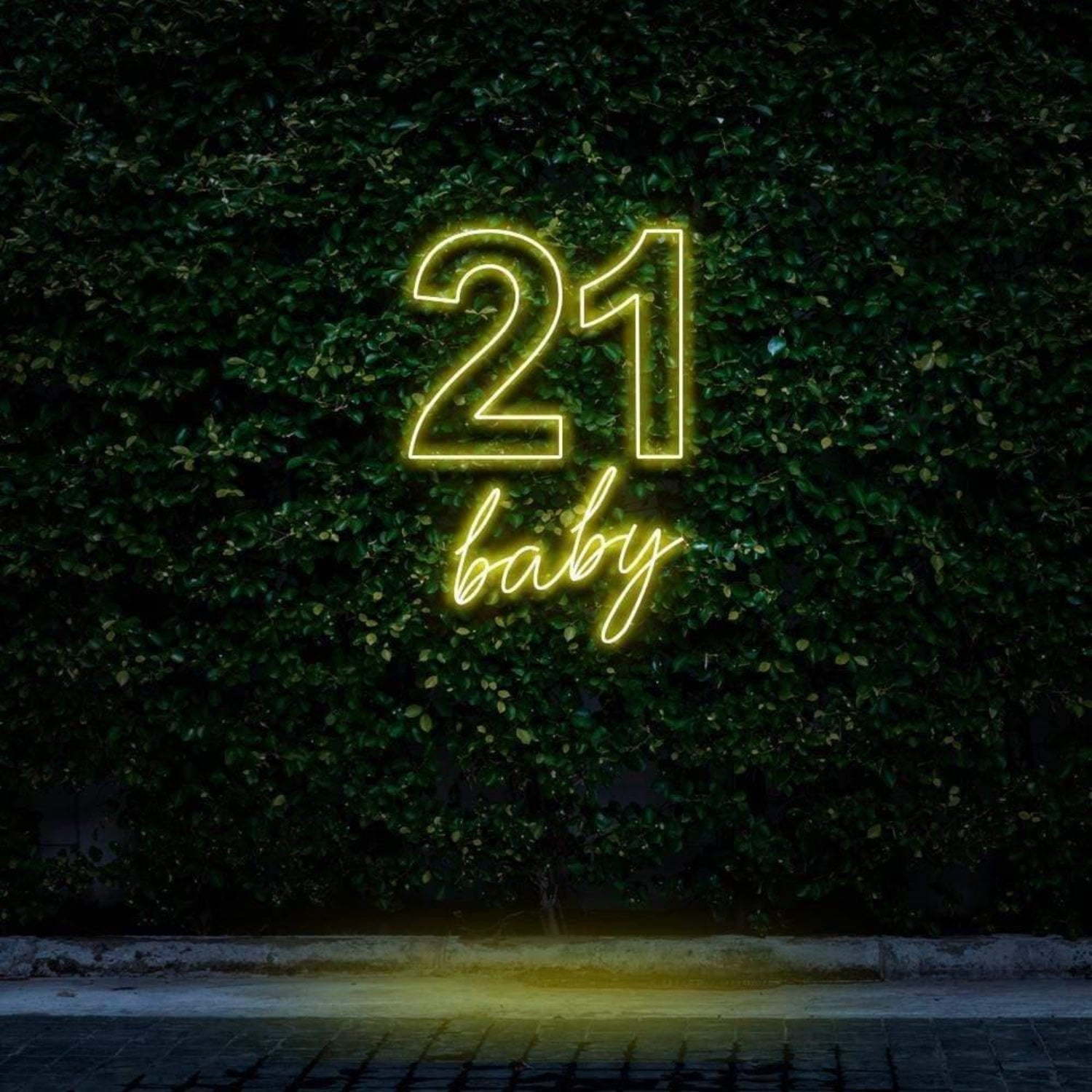 21 Baby Mint Green Led Neon Sign For Outdoor Birthday Celebration | Shineneon