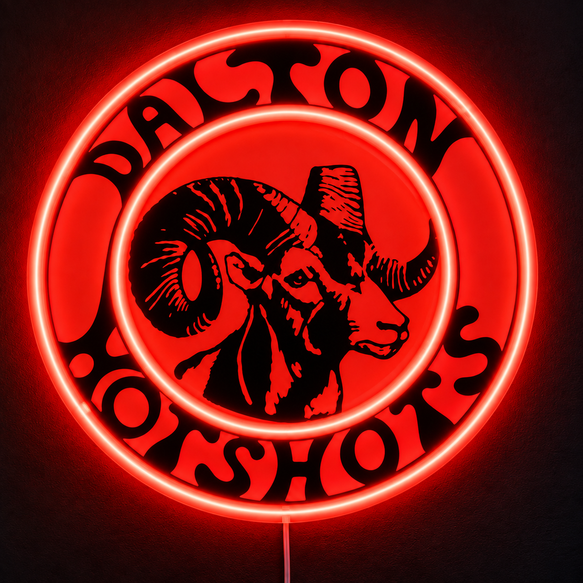 Adam's Two Custom LED Neon Sign
