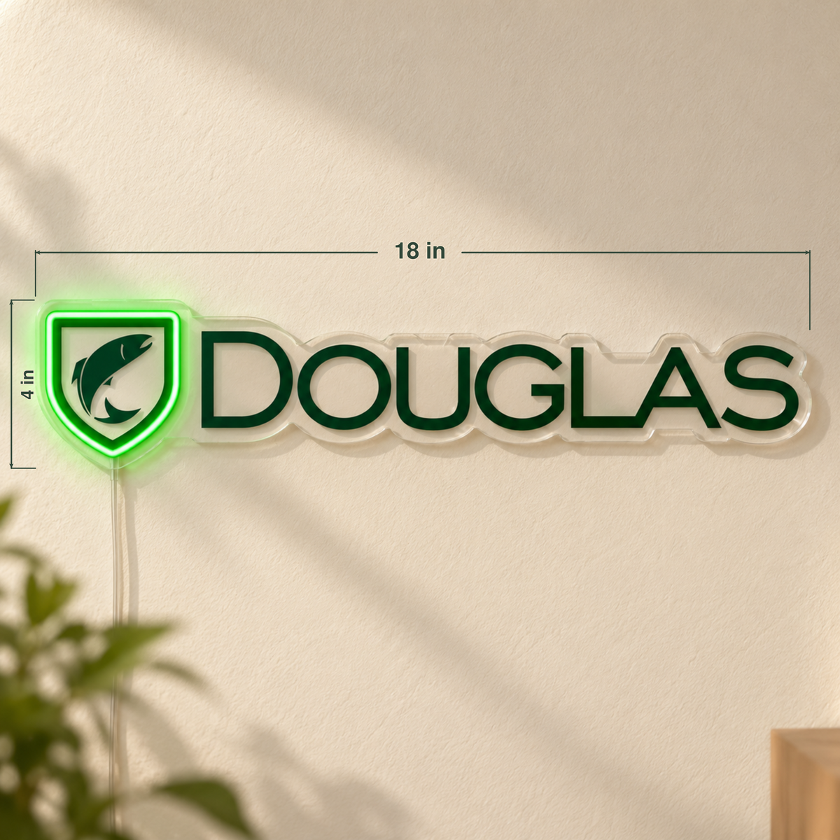 Lizzi's Custom LED Neon Sign - Douglas 18inch