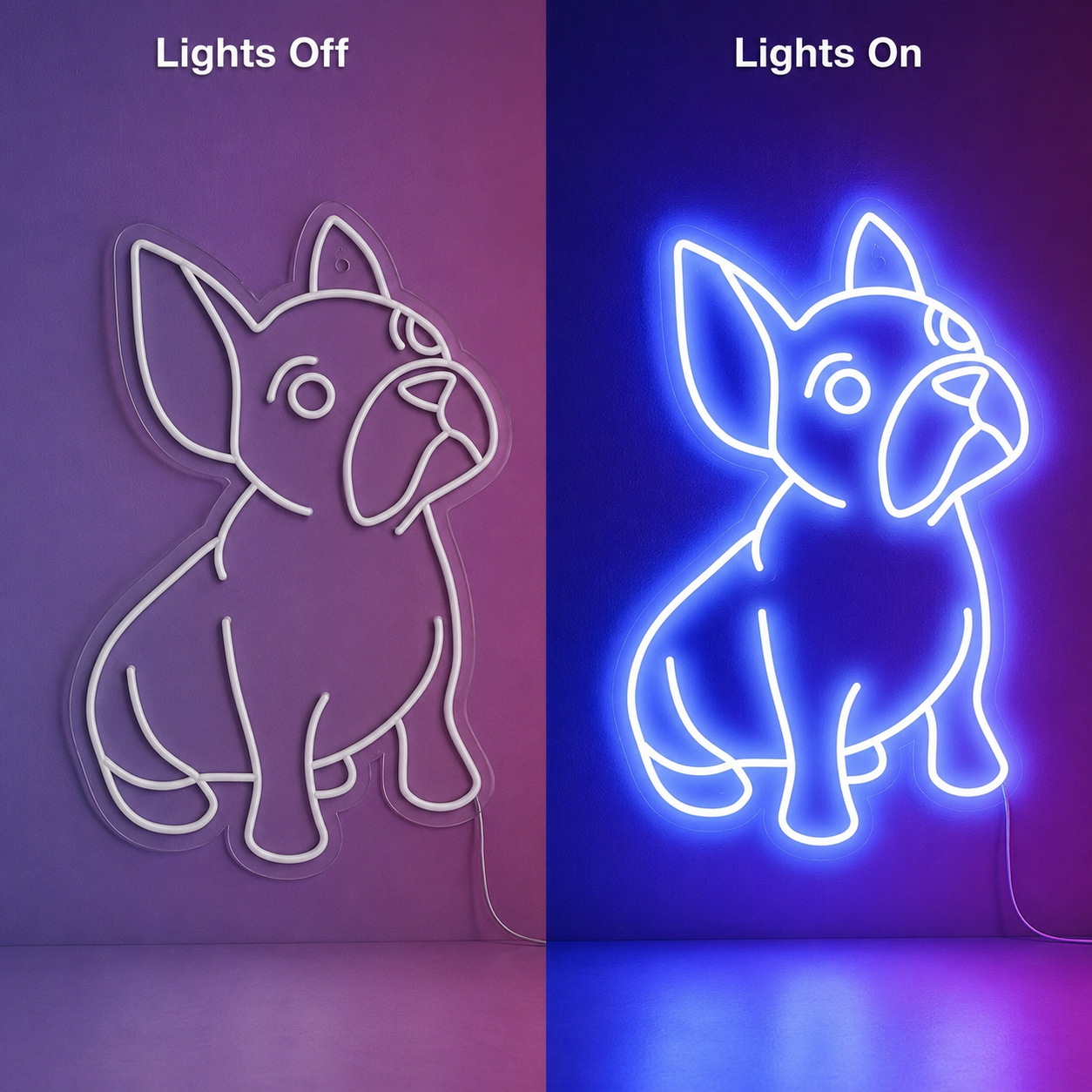 A Dog Laying On The LED Neon Sign - 06 Day Night Comparison