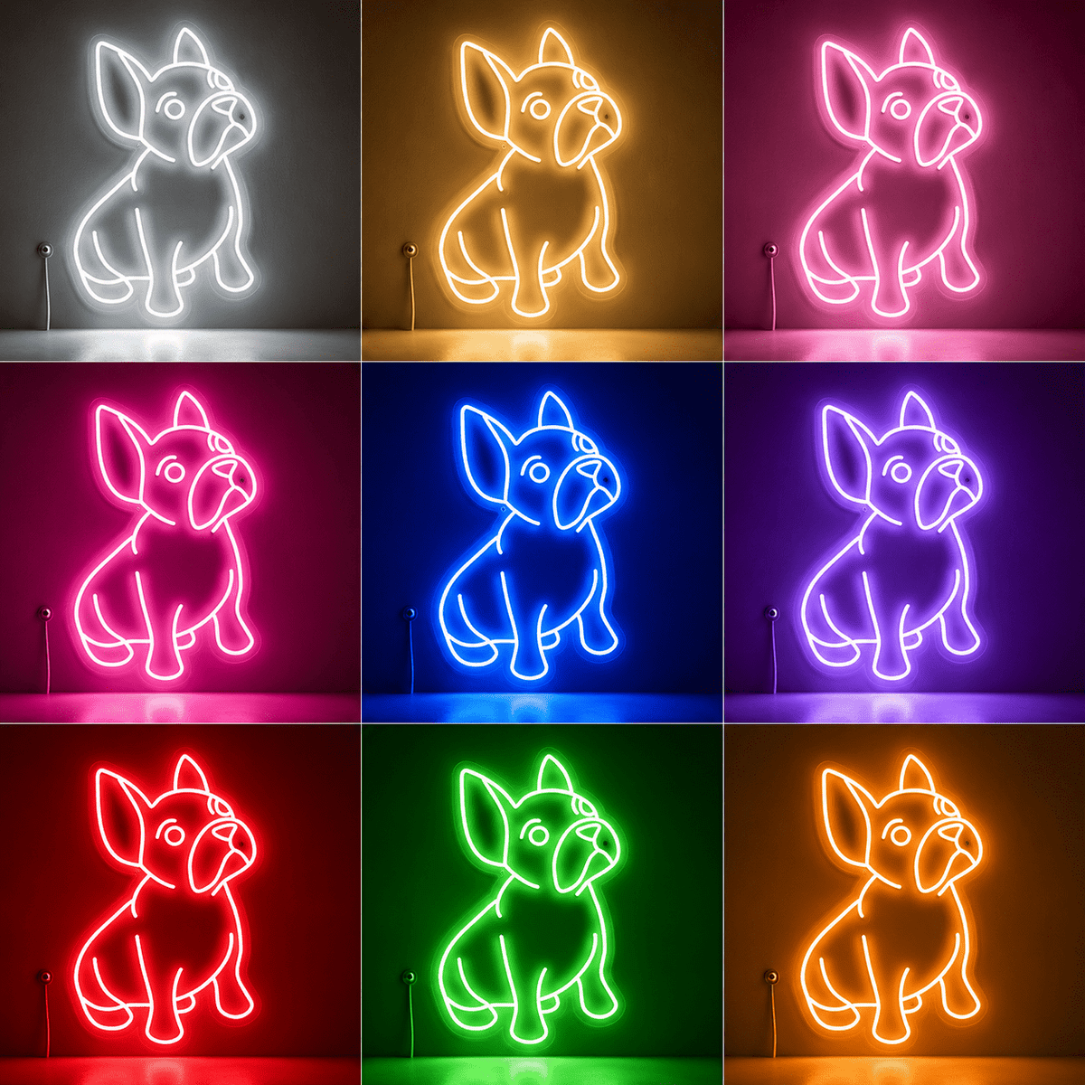 A Dog Laying On The LED Neon Sign - Shineneon