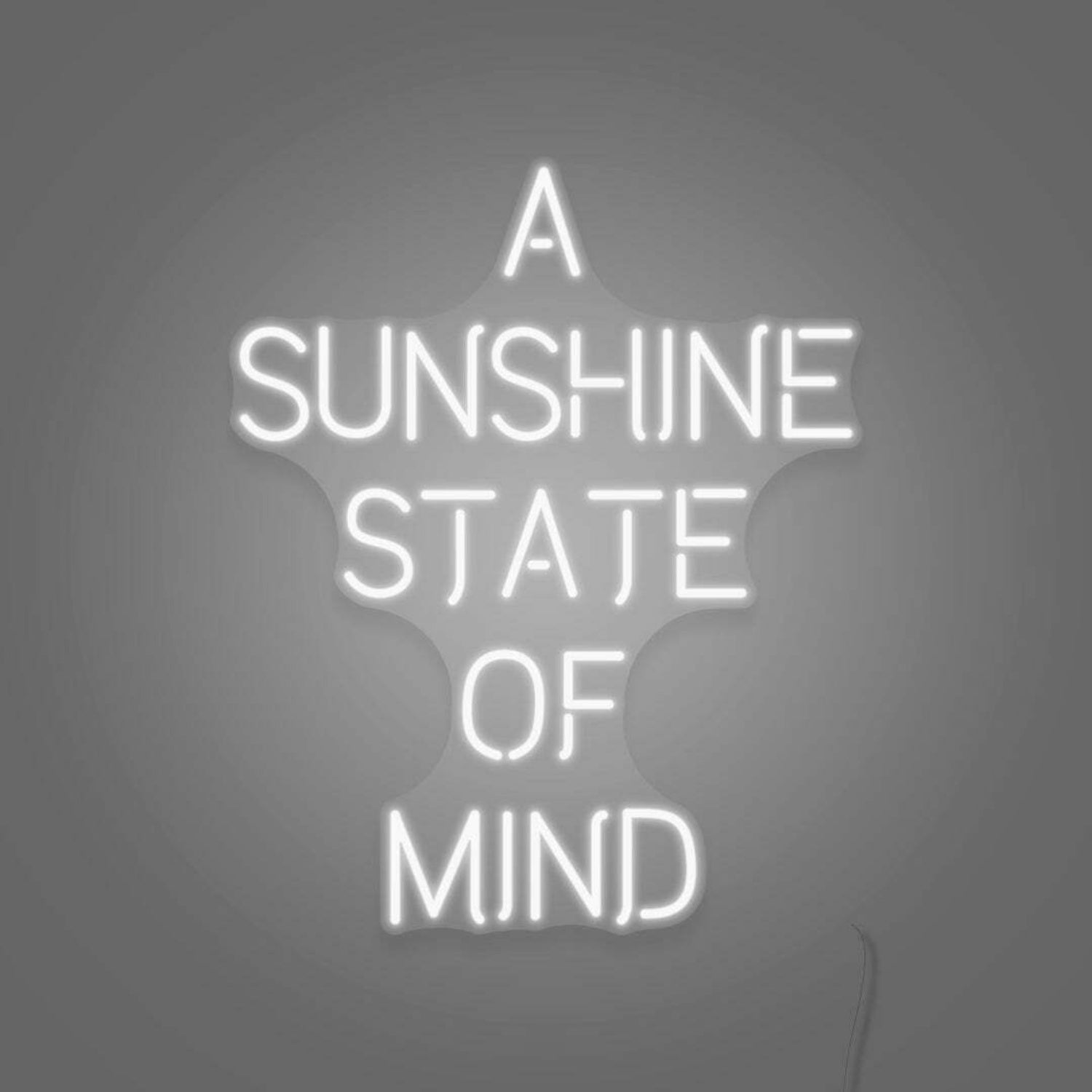 A Sunshine State Of Mind Led Sign | Shineneon