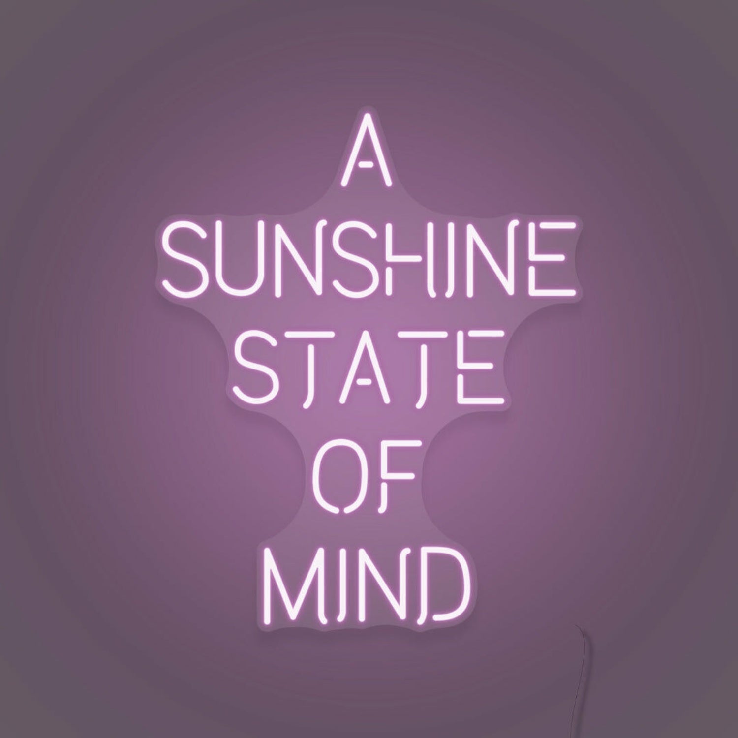 A Sunshine State Of Mind Led Sign | Shineneon