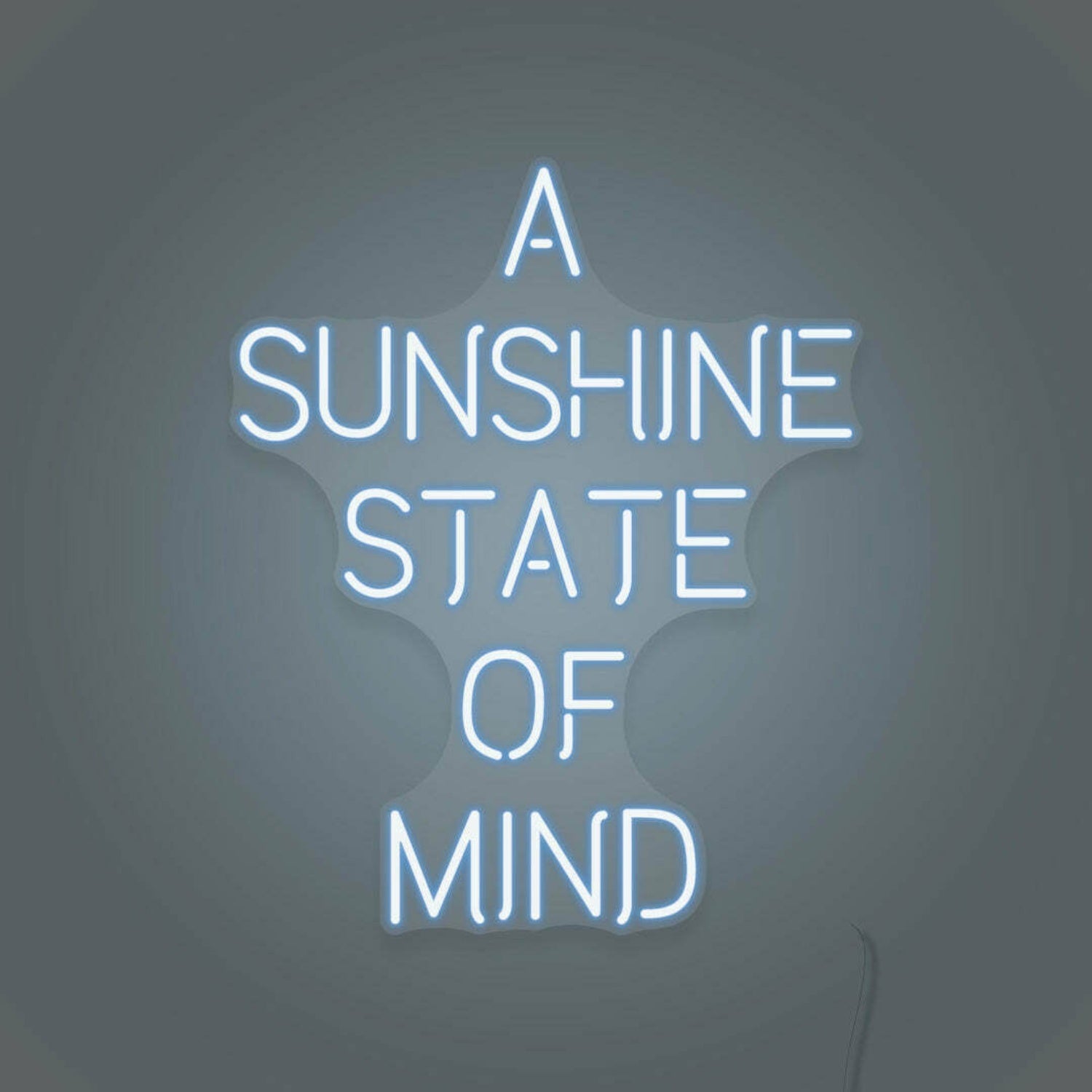 A Sunshine State Of Mind Led Sign | Shineneon