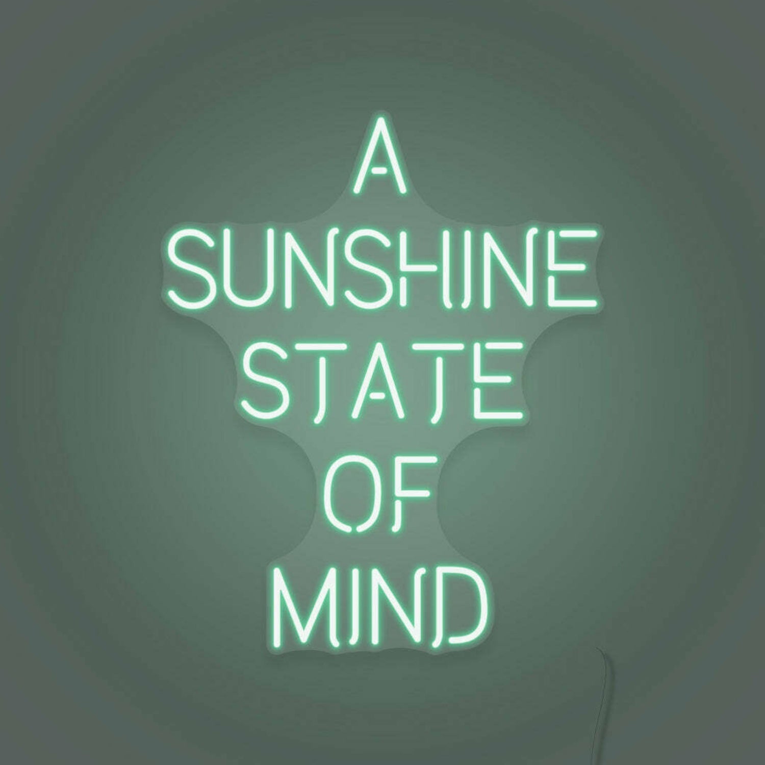 A Sunshine State Of Mind Led Sign | Shineneon