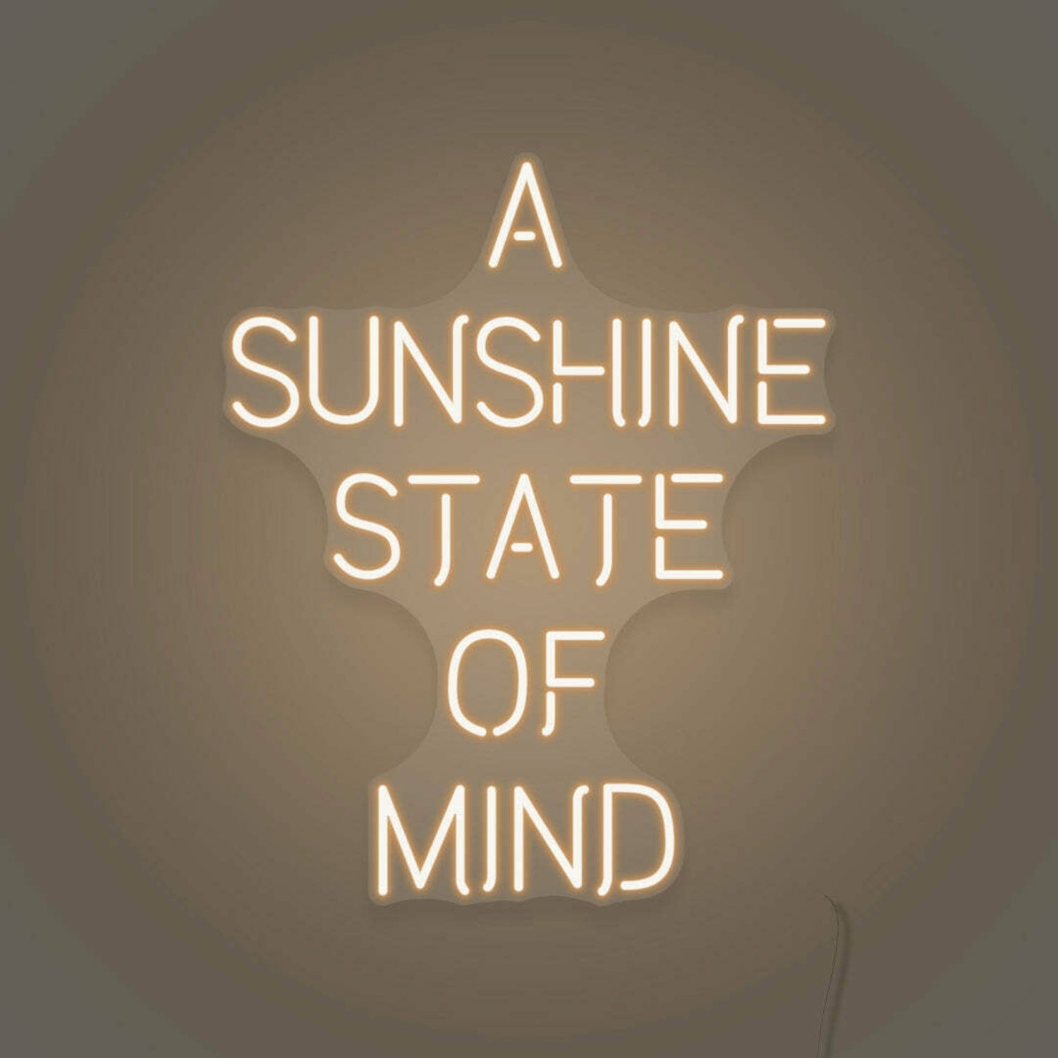 A Sunshine State Of Mind Led Sign | Shineneon
