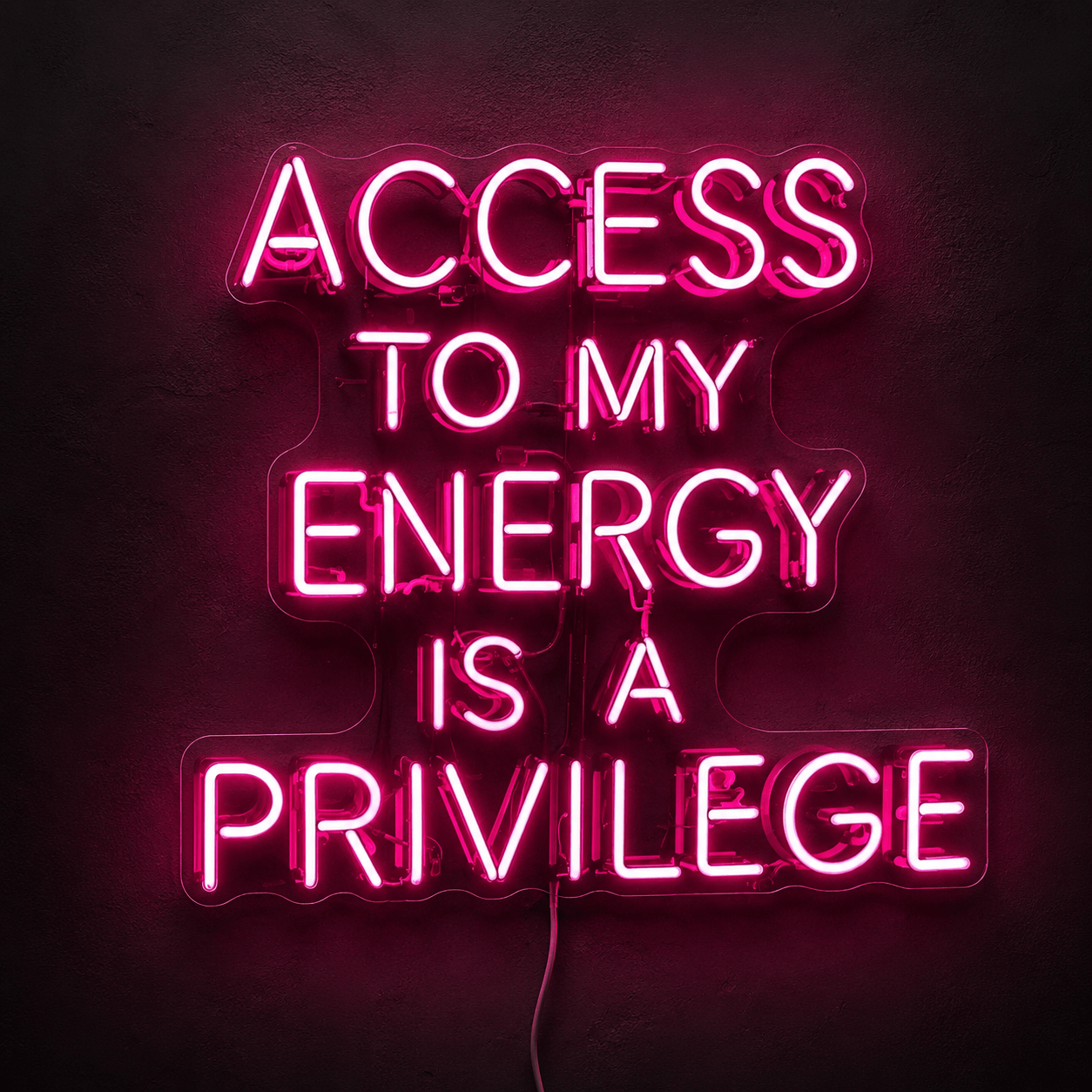 Access To My Energy Is A Privilege LED Neon Sign - Shineneon