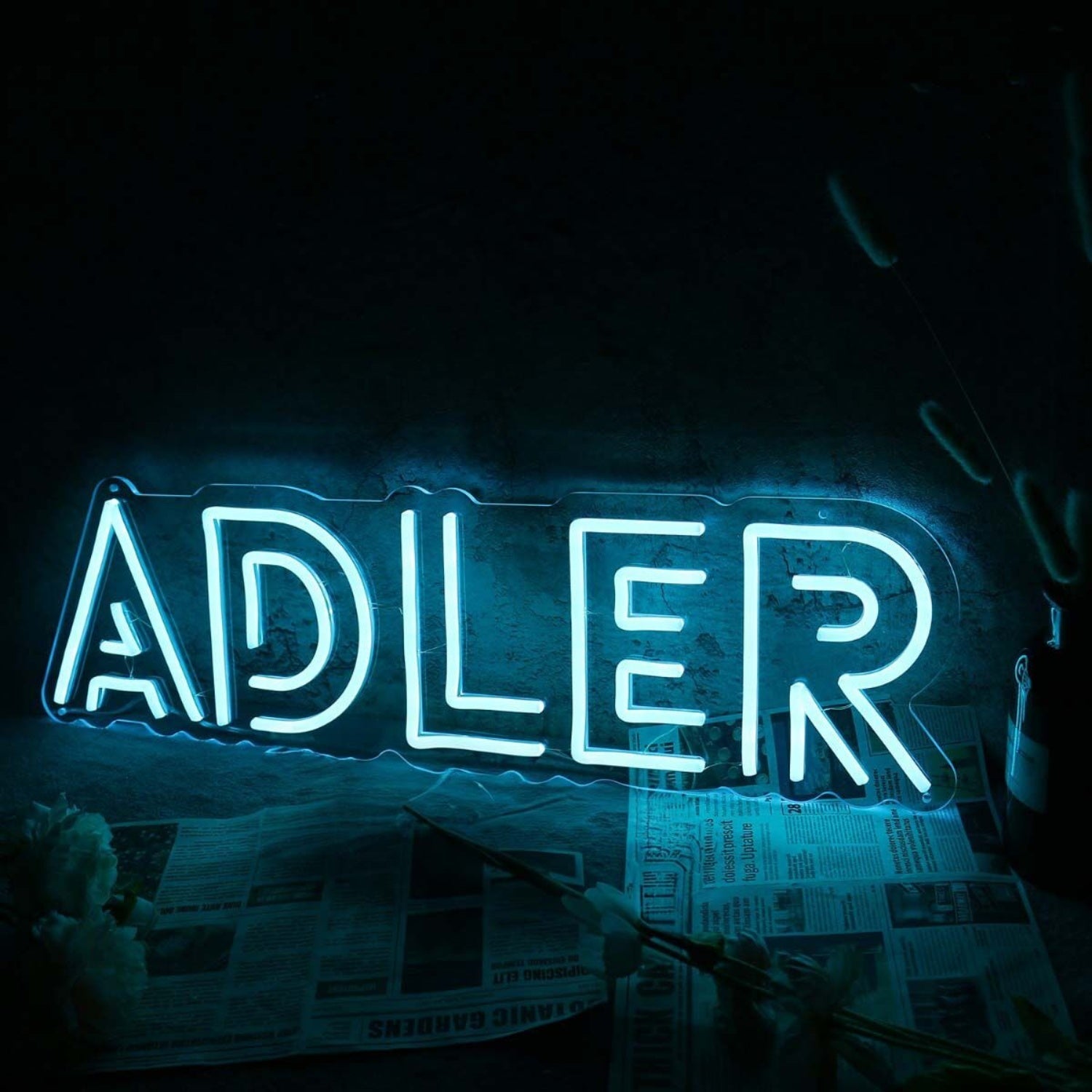 Adler Blue Name Led Neon Sign - Shineneon