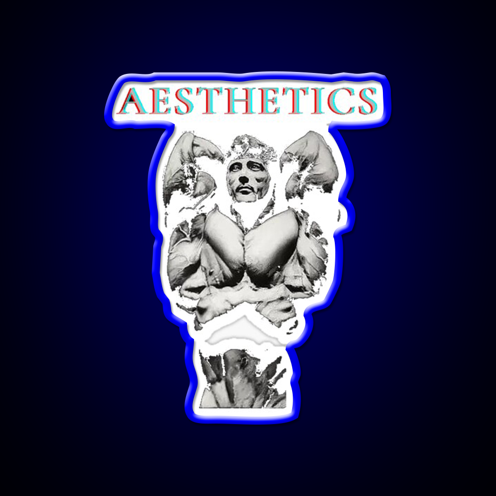 Aesthetics Frank Zane Gym Motivation Gym Fitness Led Neon Sign Rgb Color