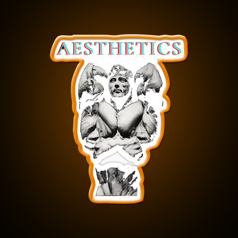 Aesthetics Frank Zane Gym Motivation Gym Fitness Led Neon Sign Rgb Color