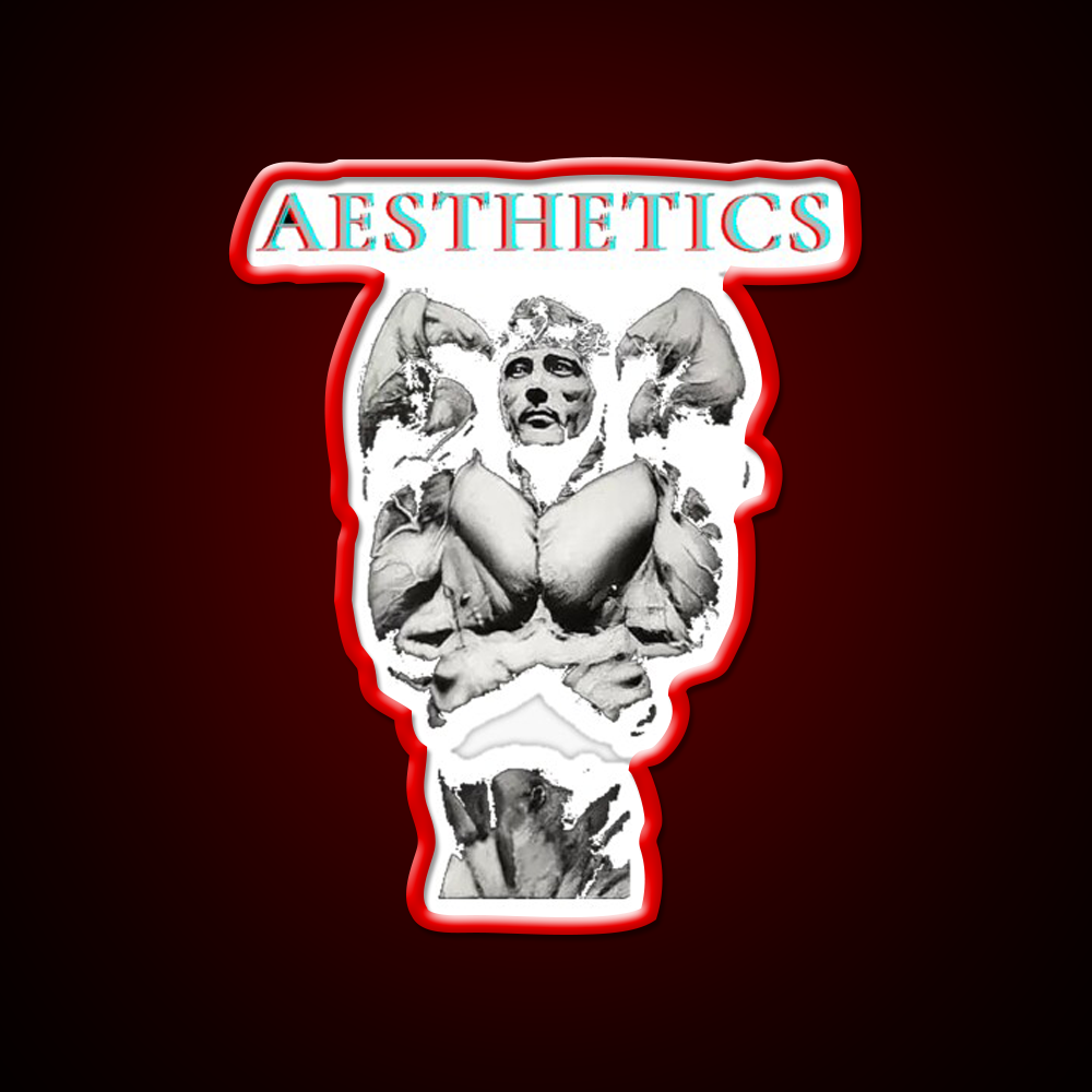 Aesthetics Frank Zane Gym Motivation Gym Fitness Led Neon Sign Rgb Color