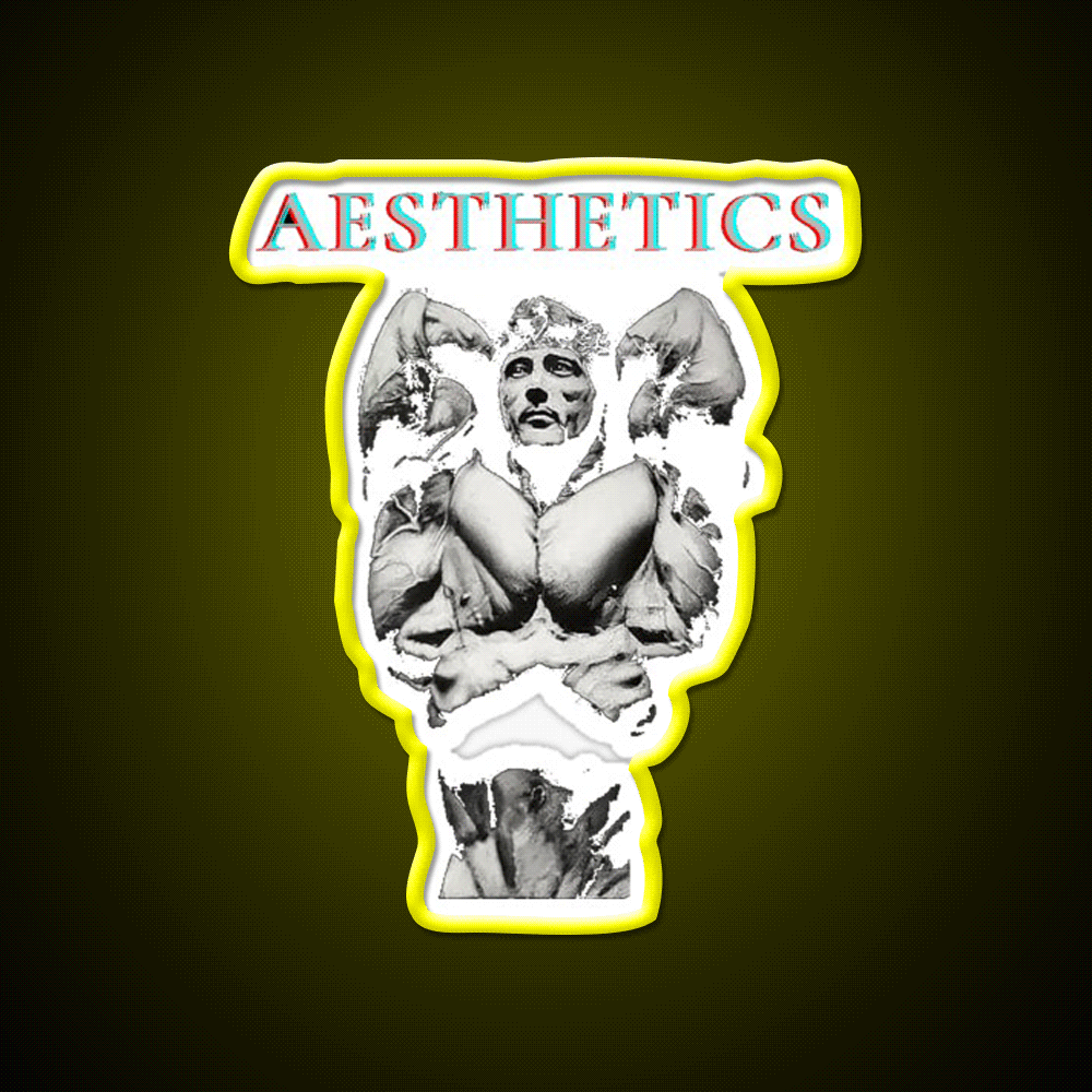 Aesthetics Frank Zane Gym Motivation Gym Fitness Led Neon Sign Rgb Color