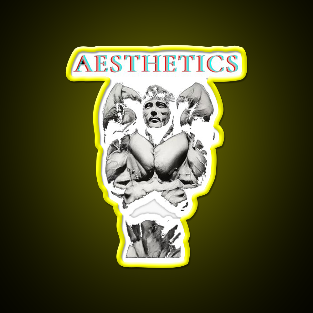 Aesthetics Frank Zane Gym Motivation Gym Fitness Led Neon Sign Rgb Color