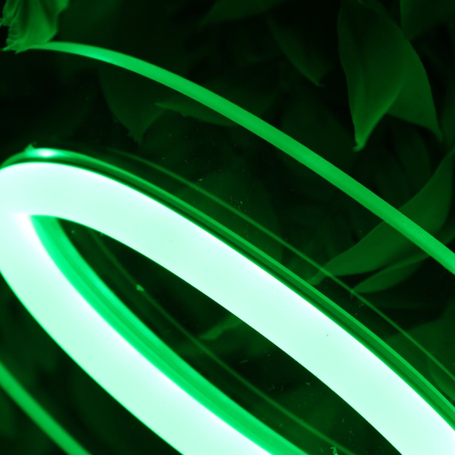 Alex Green Led Neon Sign - Shineneon