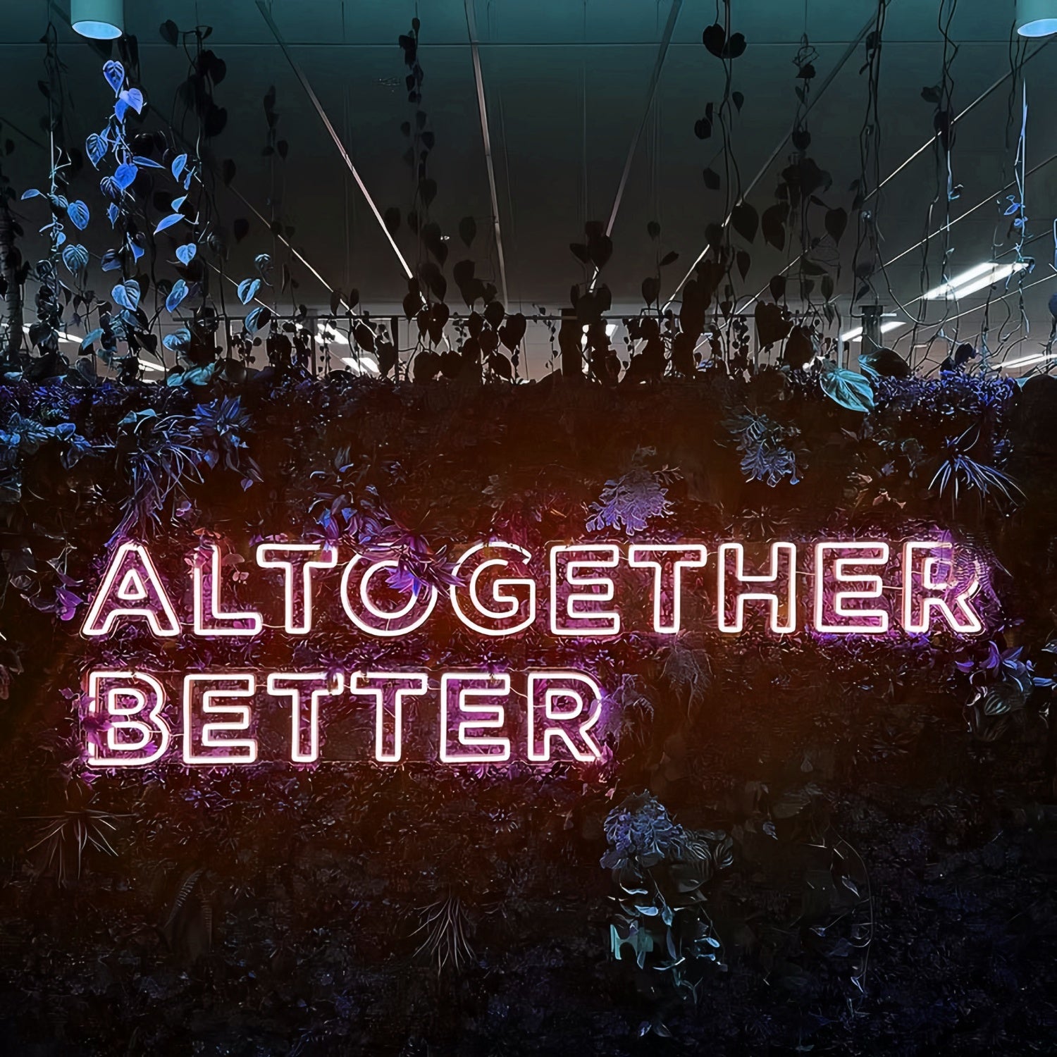 Altogether Better Elevate Your Space With Neon Brilliance | Shineneon