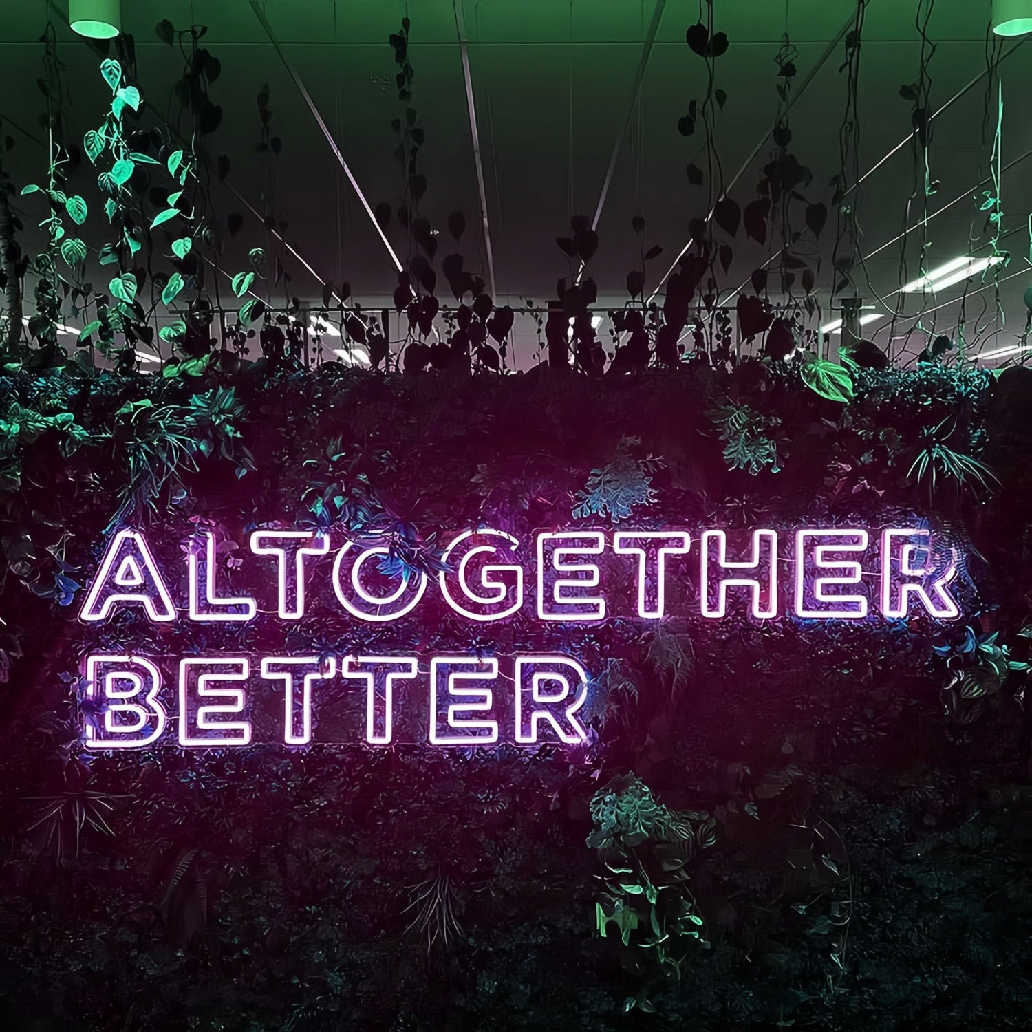 Altogether Better Elevate Your Space With Neon Brilliance | Shineneon