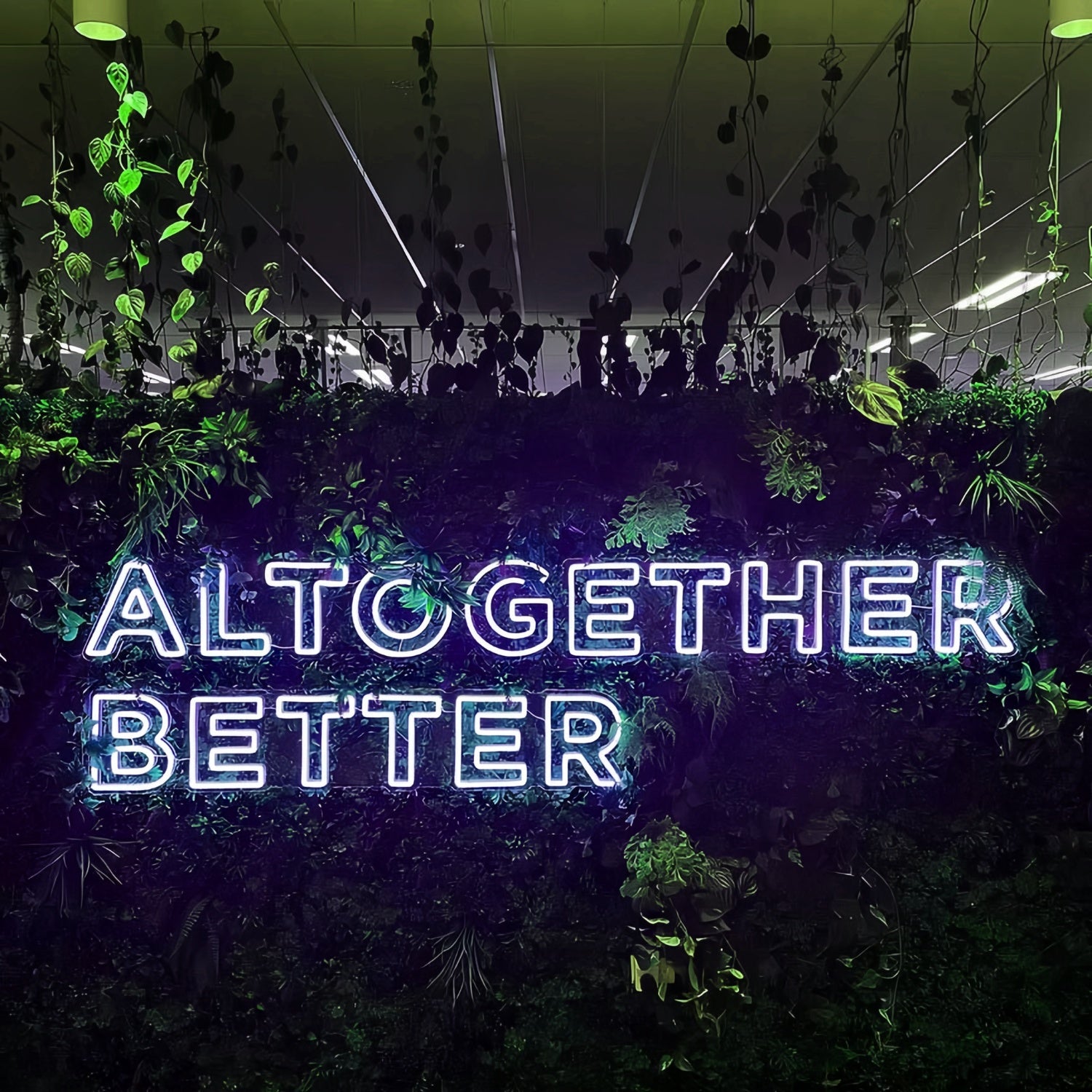 Altogether Better Elevate Your Space With Neon Brilliance | Shineneon