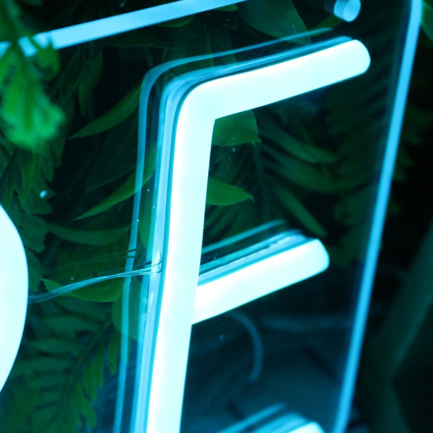Amire Blue Led Neon Sign - Shineneon