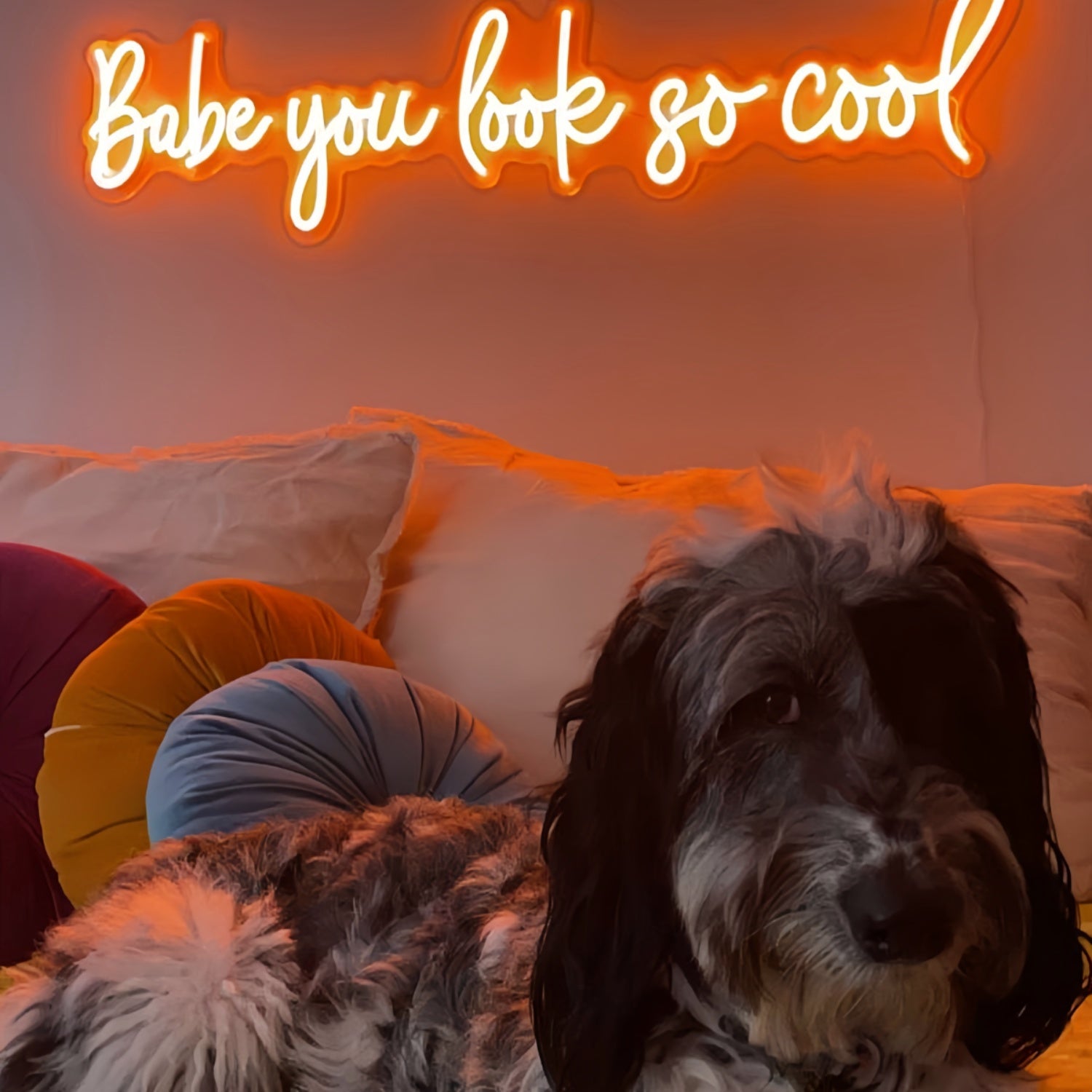 Babe Youre Absolutely Cool Neon Sign | Shineneon