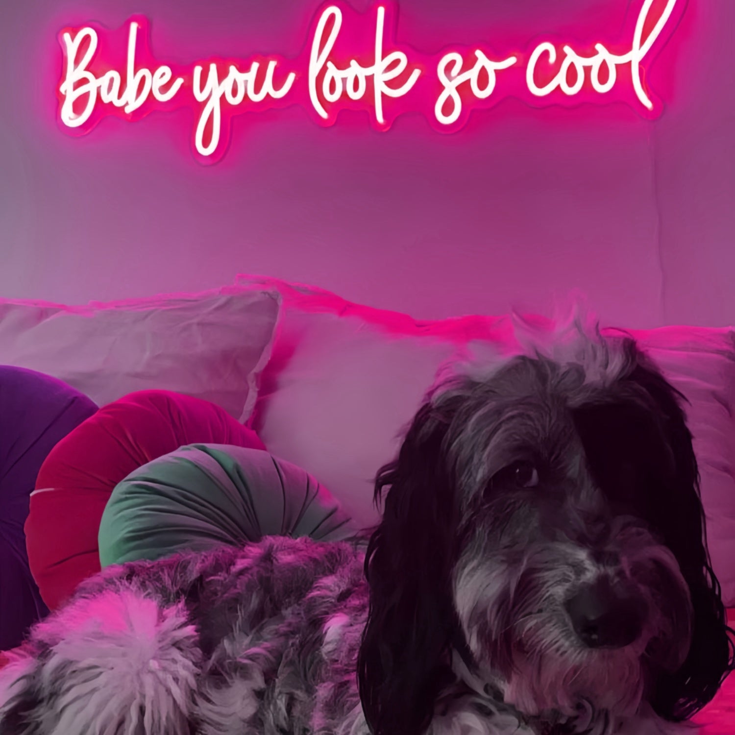 Babe Youre Absolutely Cool Neon Sign | Shineneon