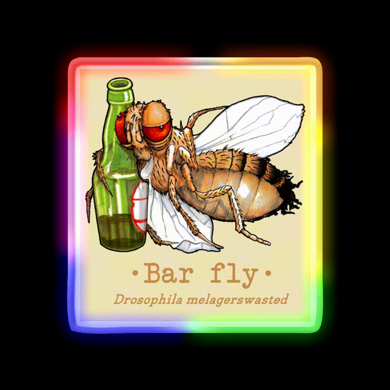 Bar Fly Beer Bar Decor Led Neon Sign Rgb Color - LED neon sign close-up detail