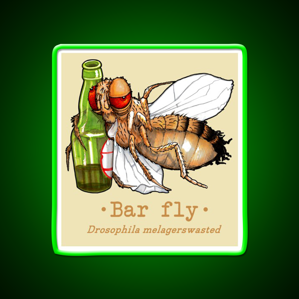 Bar Fly Beer Bar Decor Led Neon Sign Rgb Color - LED neon sign view 8