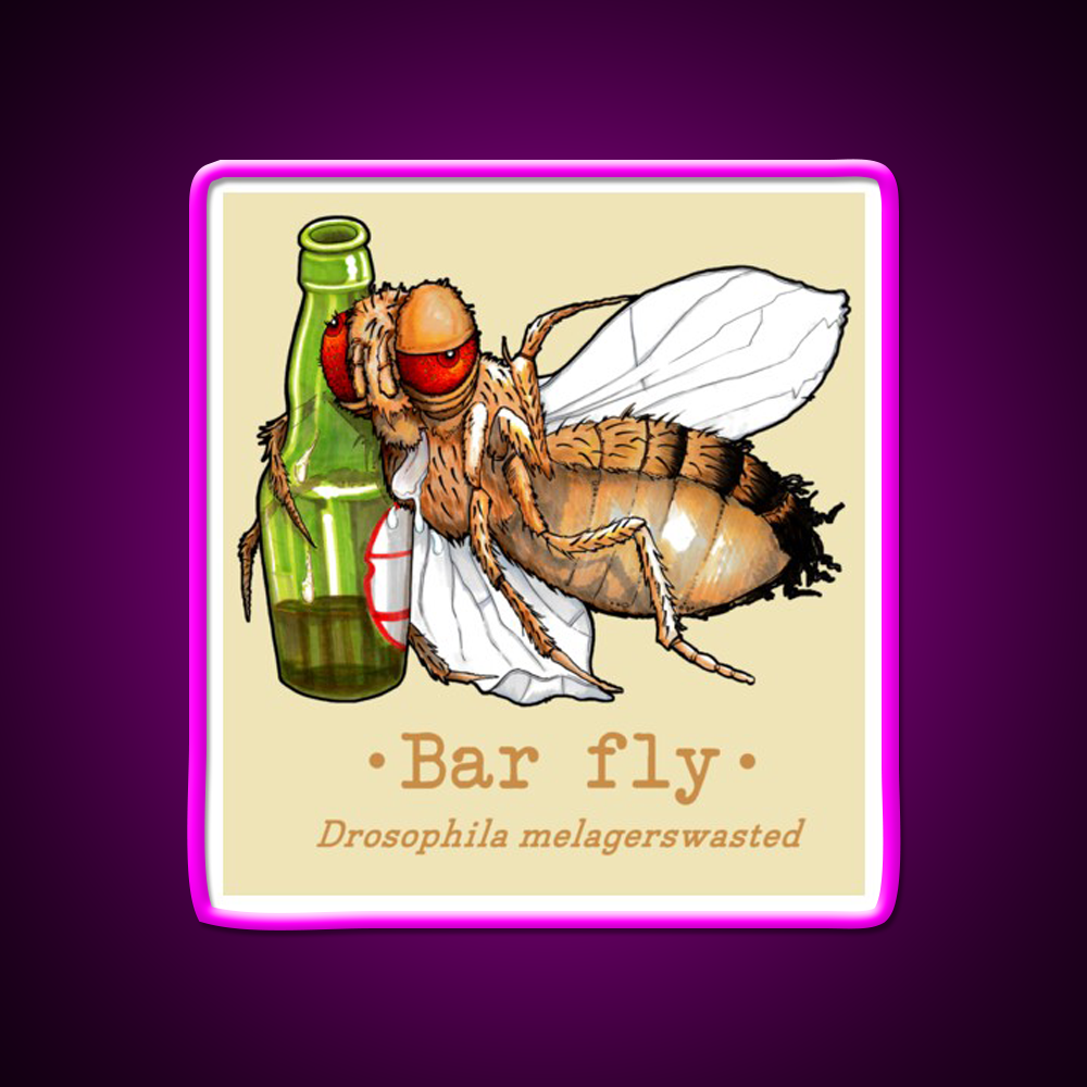 Bar Fly Beer Bar Decor Led Neon Sign Rgb Color - Neon sign mounted on wall in room