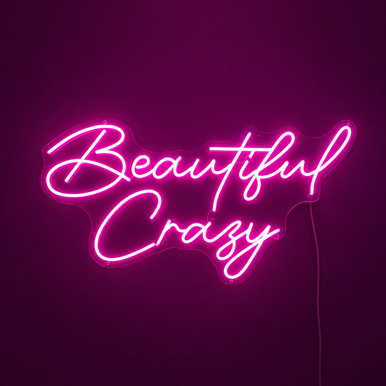 Beautiful Crazy LED Neon Sign - 01 Original Product Image