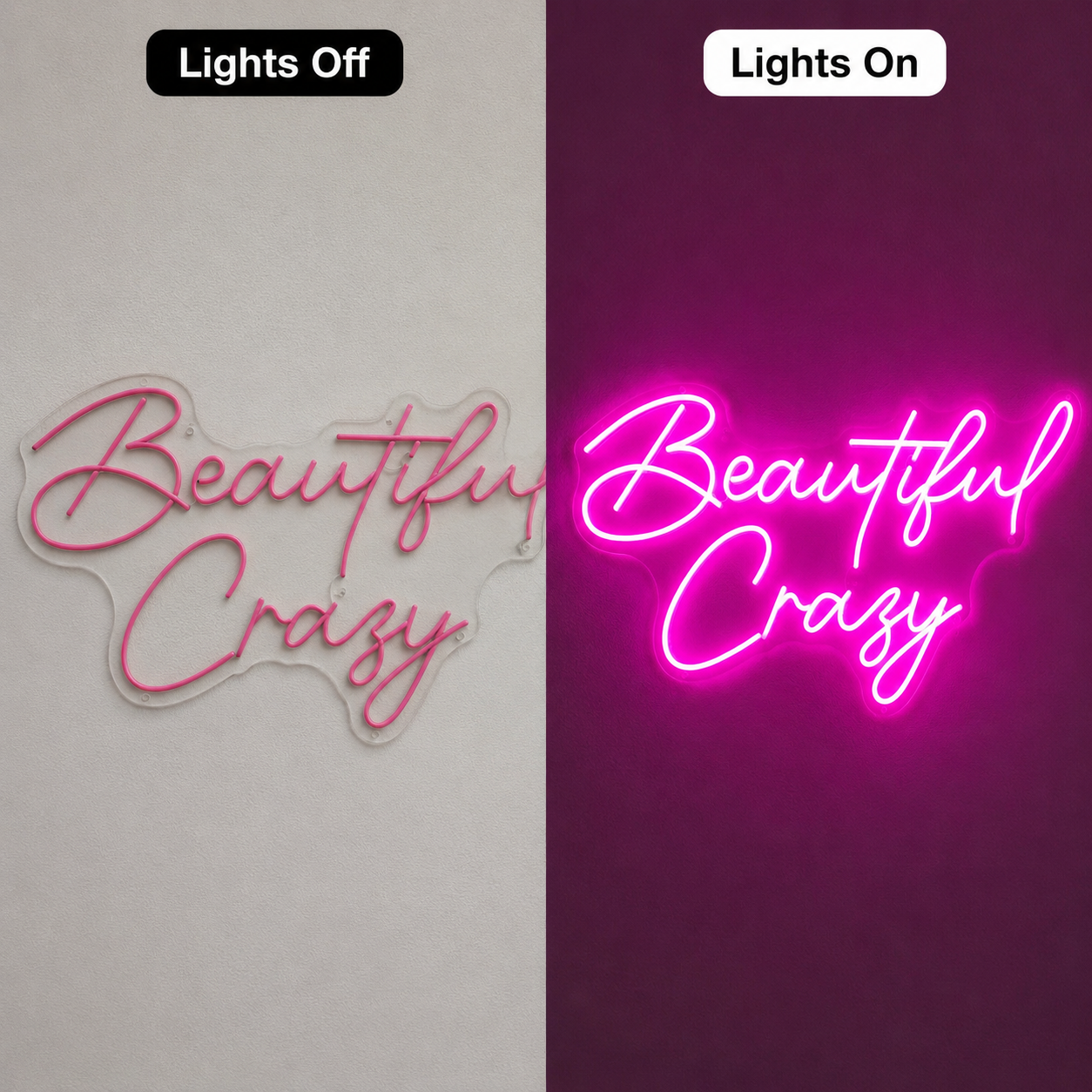 Beautiful Crazy LED Neon Sign - 06 Day Night Comparison