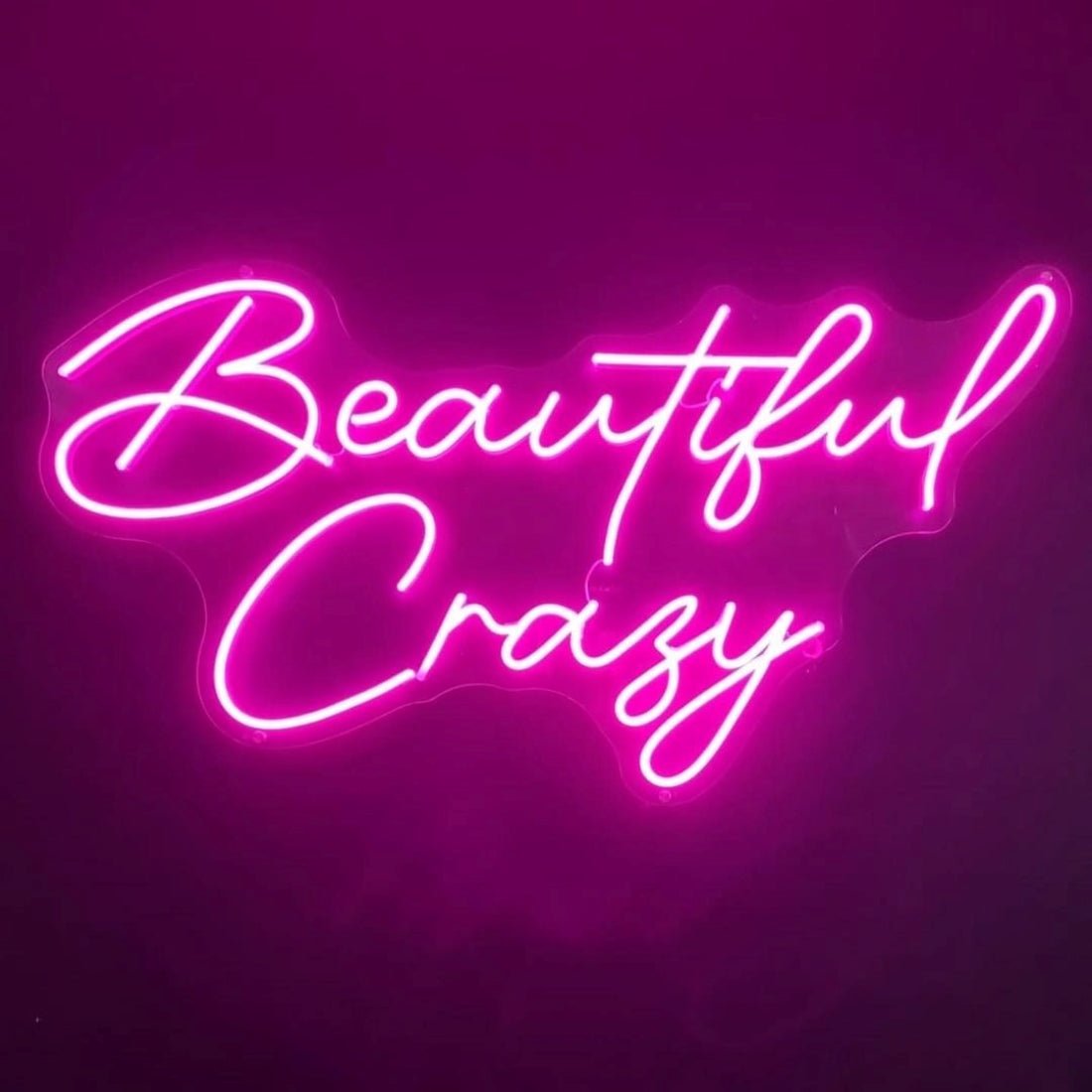 Beautiful Crazy Led Sign Business Neon Sign - Shineneon