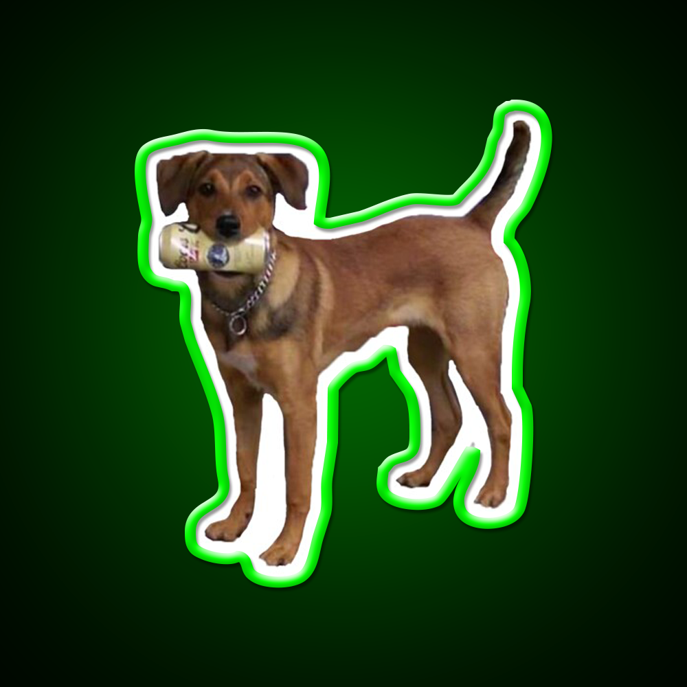 Beer Drinking Dog Beer Bar Decor Led Neon Sign Rgb Color - LED neon sign view 8