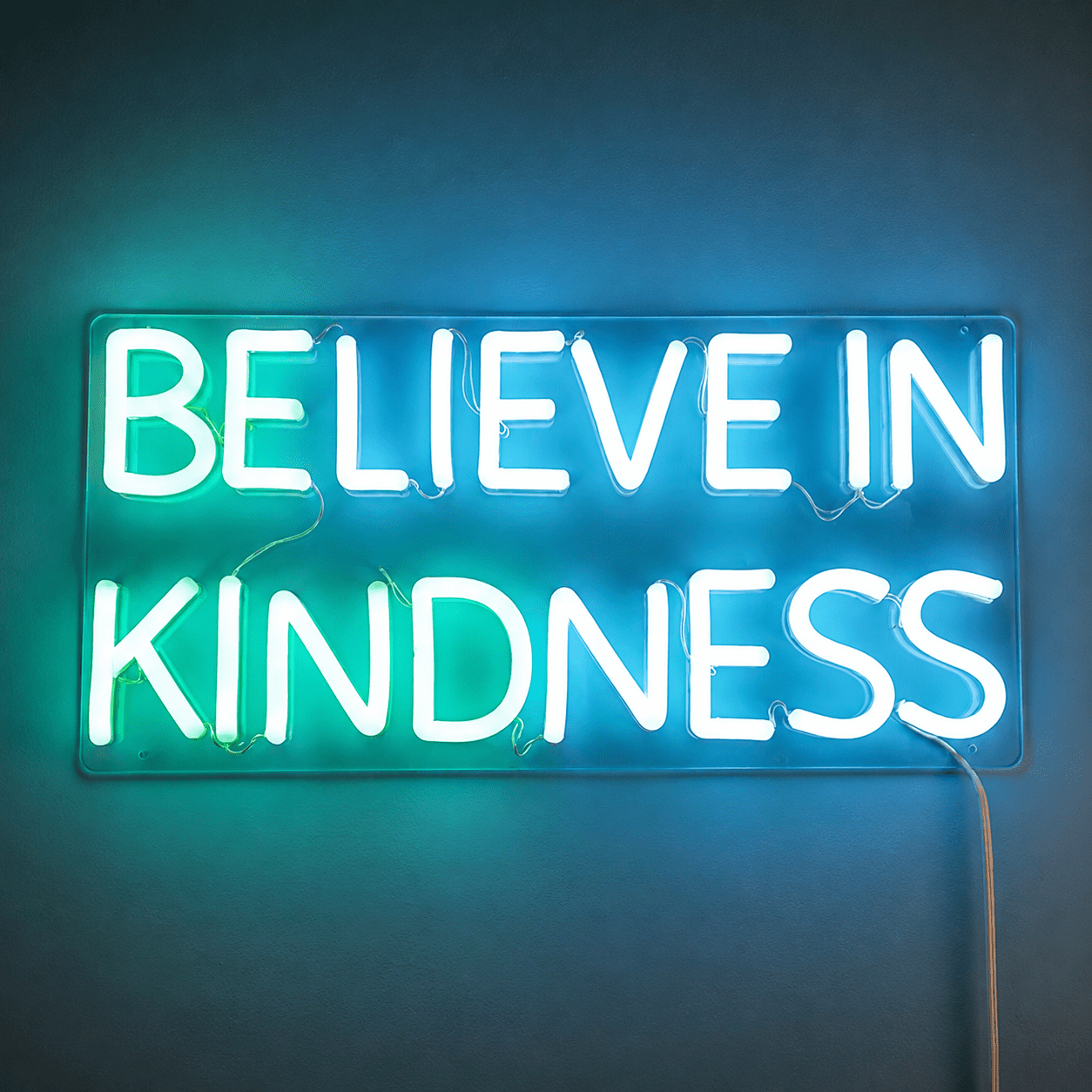 Believe In Kindness LED Neon Sign Home Decor - Shineneon