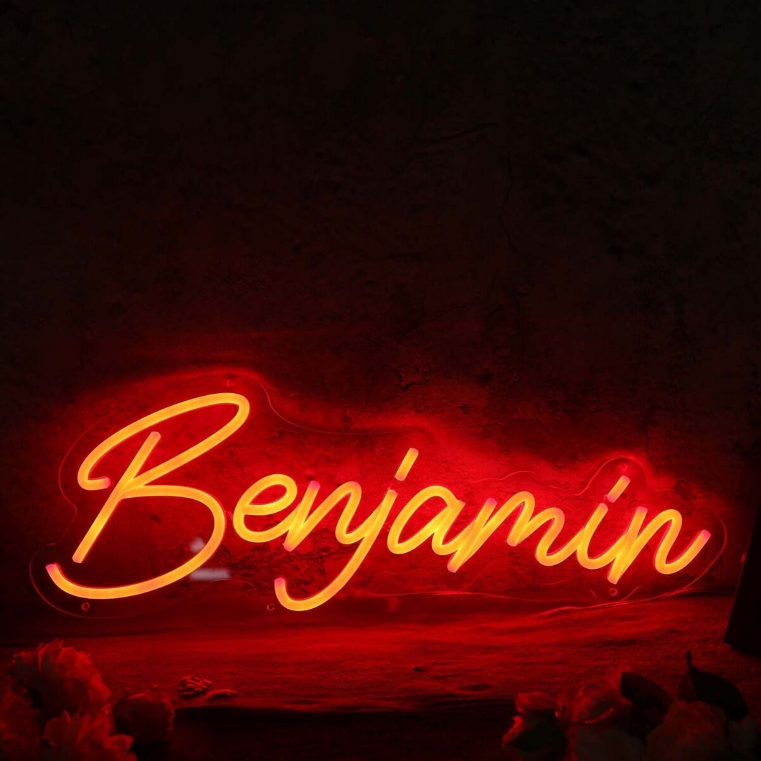 Benjamin Red Led Neon Sign - Shineneon