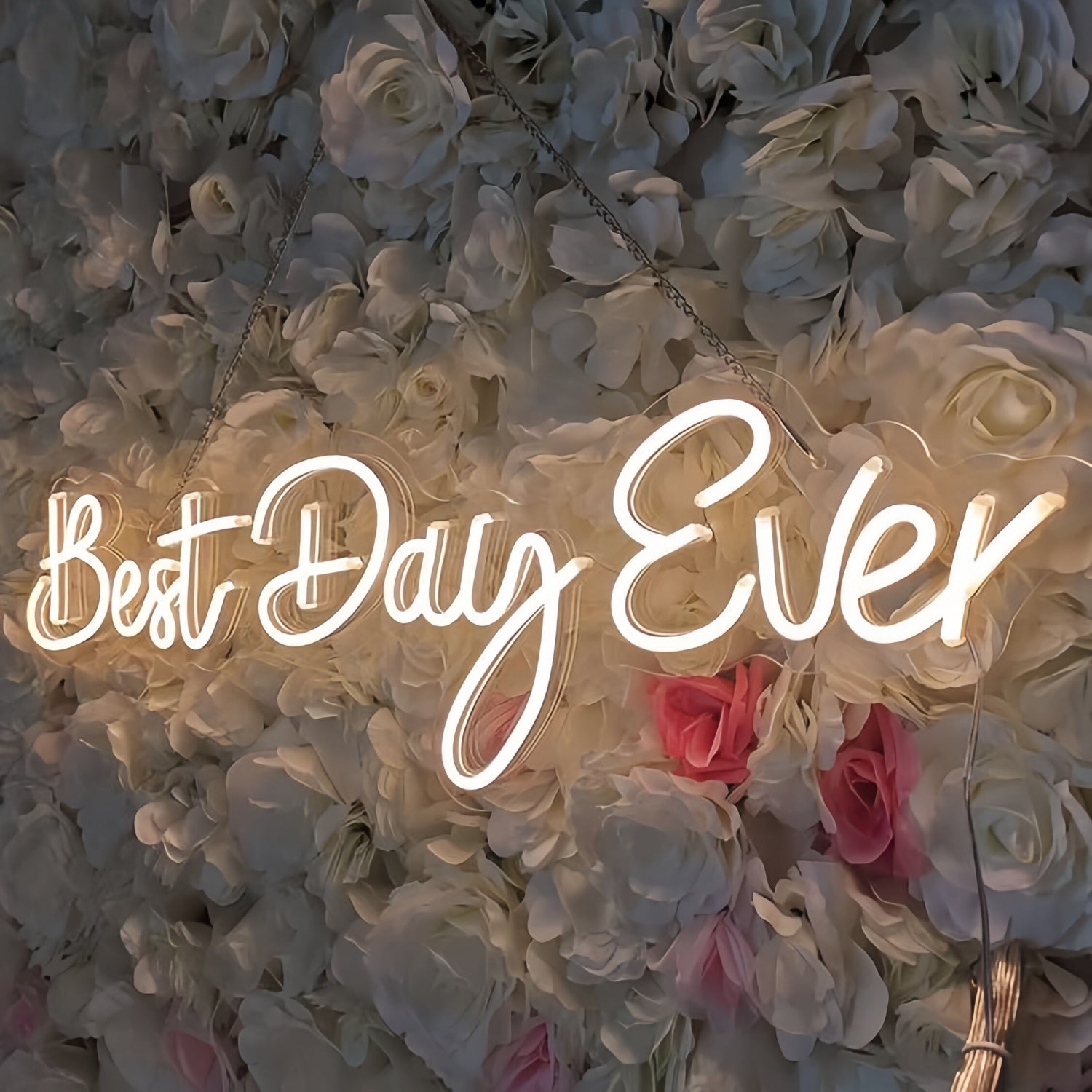 Best Day Ever Style 1 Neon Sign To Light Up Your Life | Shineneon