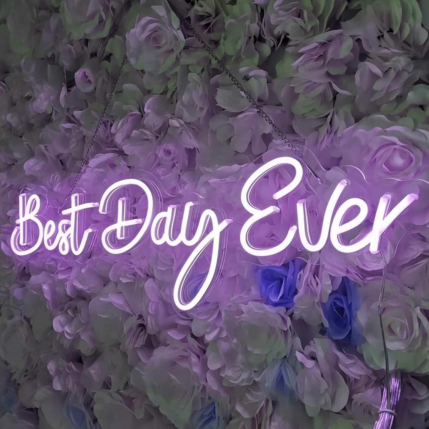 Best Day Ever Style 1 Neon Sign To Light Up Your Life | Shineneon