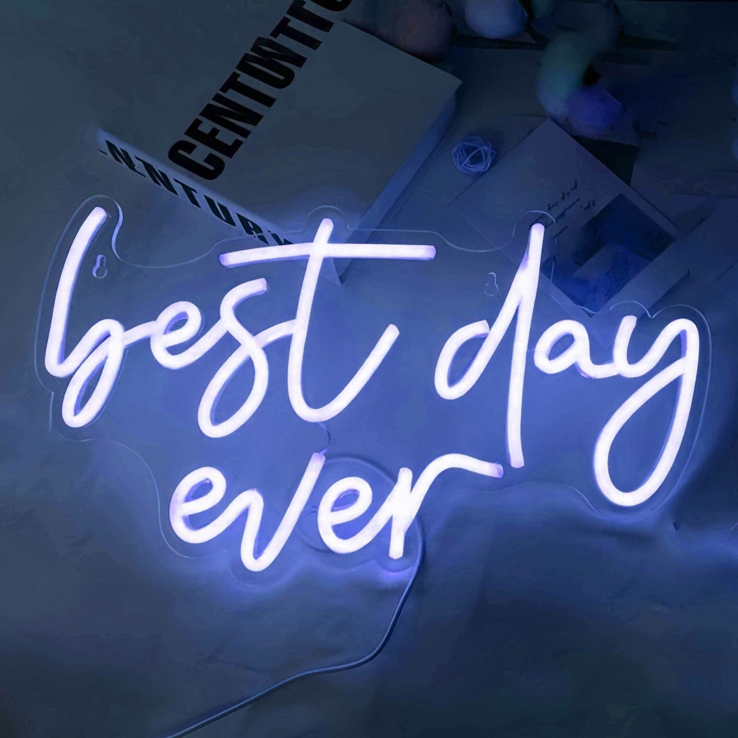 Best Day Ever Style 2 Neon Sign To Light Up Your Life | Shineneon