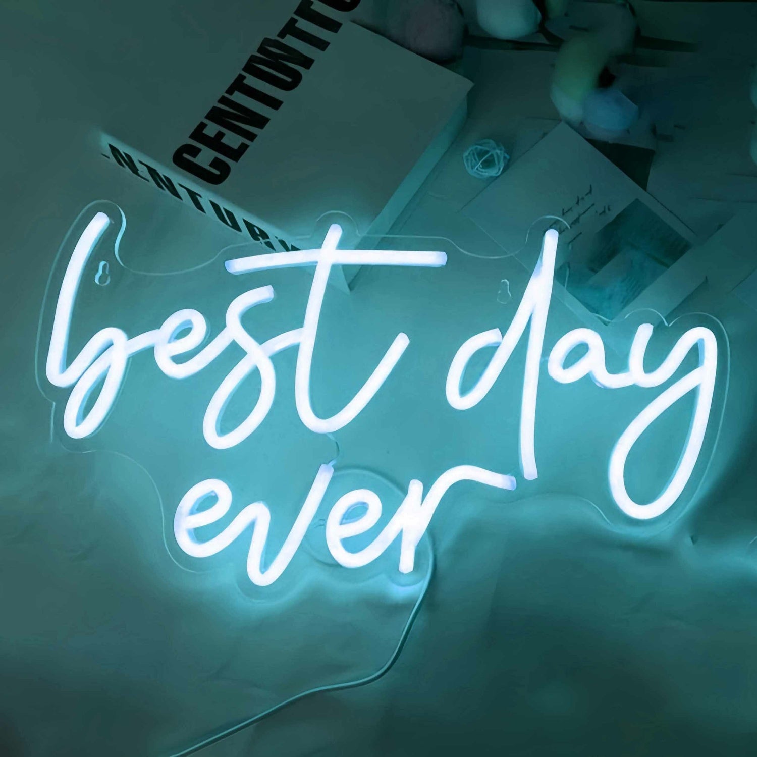 Best Day Ever Style 2 Neon Sign To Light Up Your Life | Shineneon